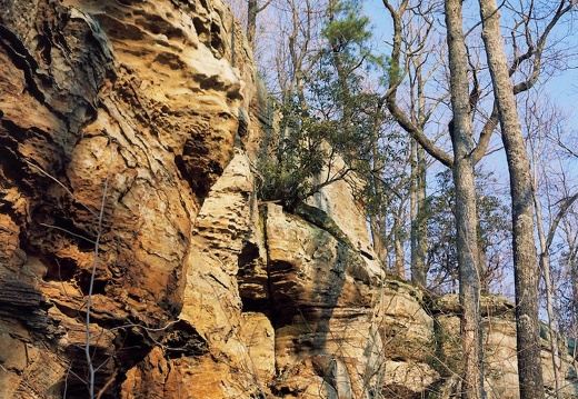 Sheltowee Trace sunset